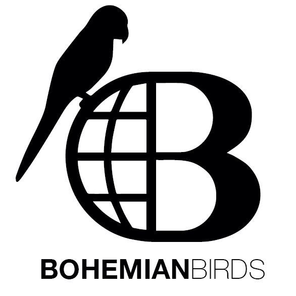 Bohemian Birds