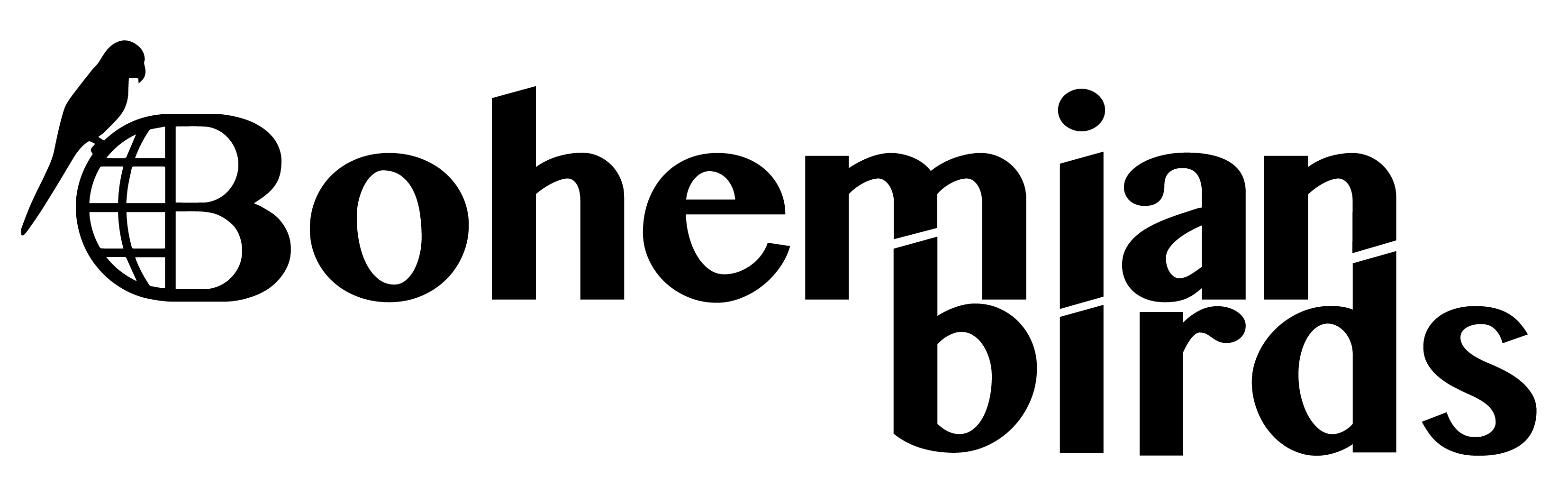 Logo bohemian birds
